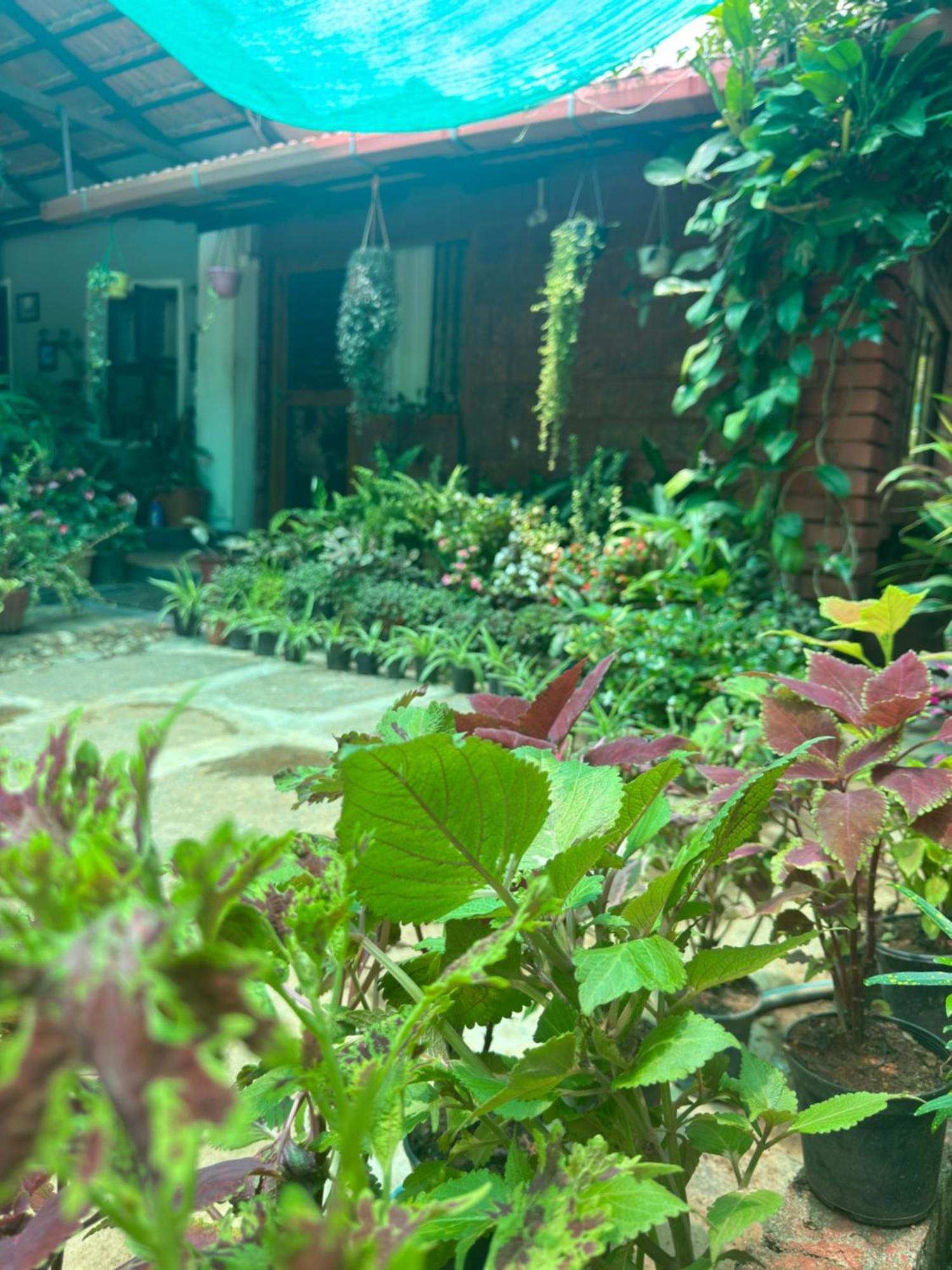Edgestay Mudigere Exterior photo